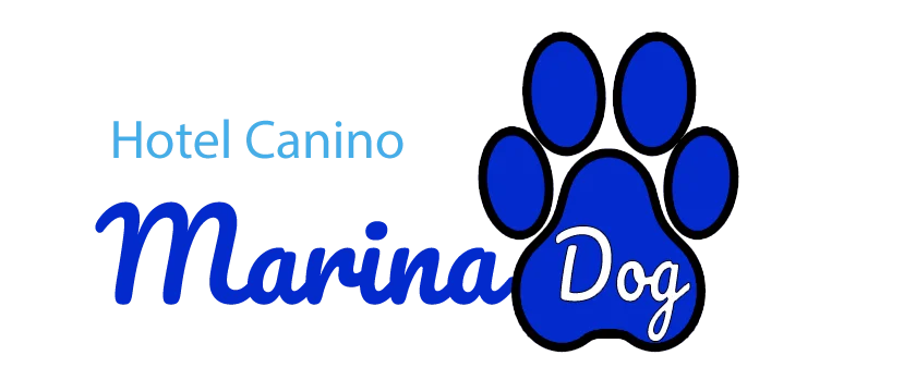 Marina dog Tenerife