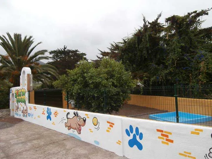 Guardería canina en Tenerife Marina Dog