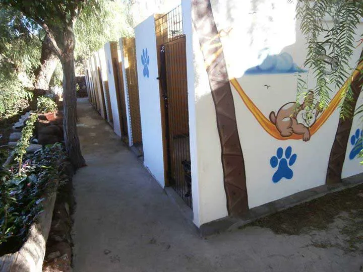 Hotel para perros en Tenerife Marina Dog