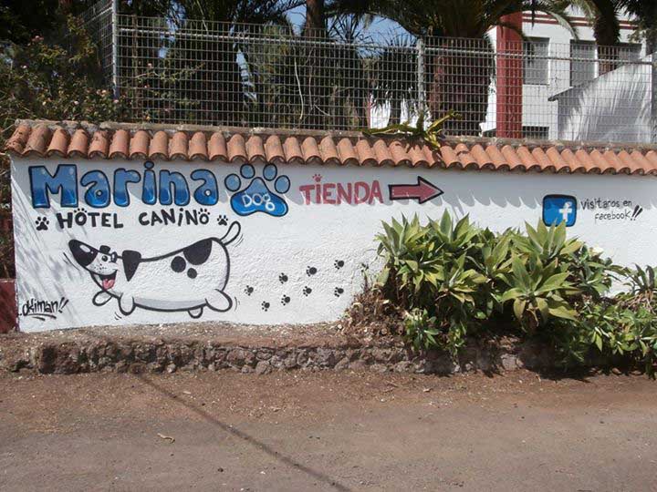 Hotel para perros en Tenerife Marina Dog