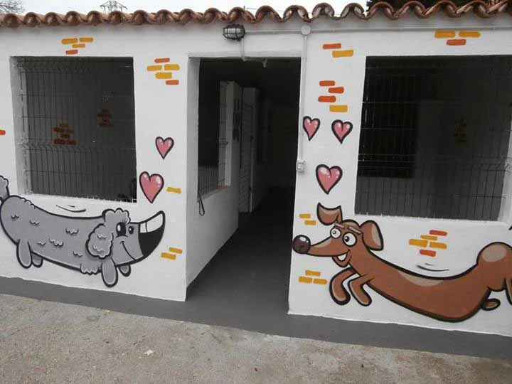Guardería canina en Tenerife Marina Dog